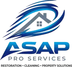 ASAP Pro Services